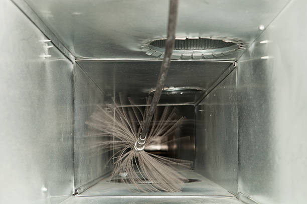 Best Air Duct Sanitizing Services  in Sterling, GA