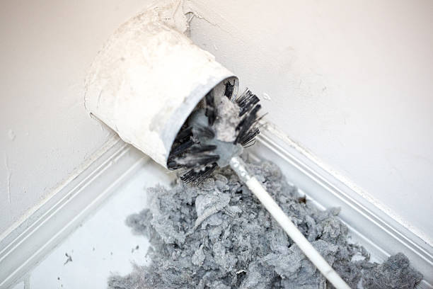 Best Ductwork Cleaning Services  in Sterling, GA